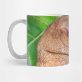 Tarsier, Bohol, Philippines Mug